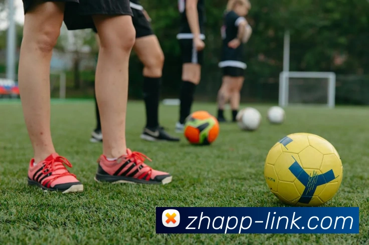 App Interface Preview